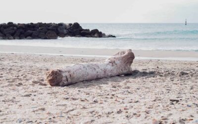 De salariée en burn out à web entrepreneur… Le plaisir de travailler à son rythme