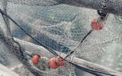 Burn out : Comment gérer votre période d’arrêt de travail ?